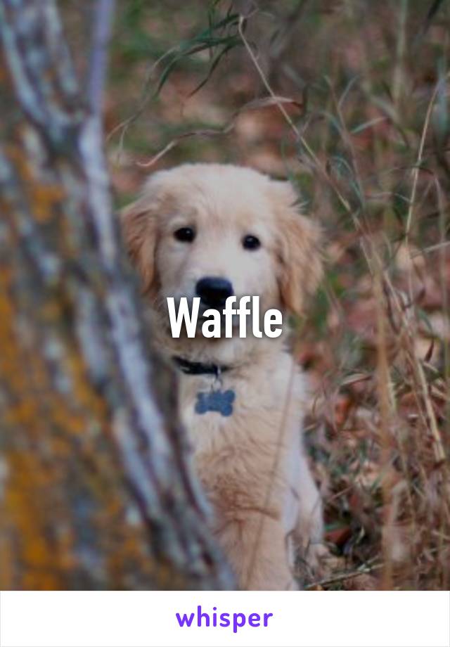 Waffle