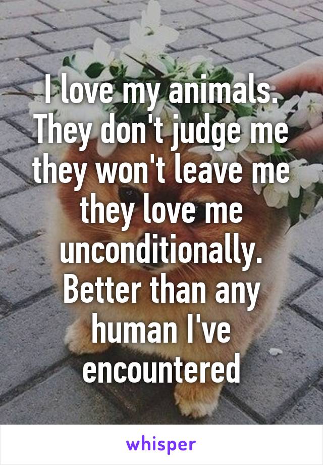 I love my animals. They don't judge me they won't leave me they love me unconditionally. Better than any human I've encountered