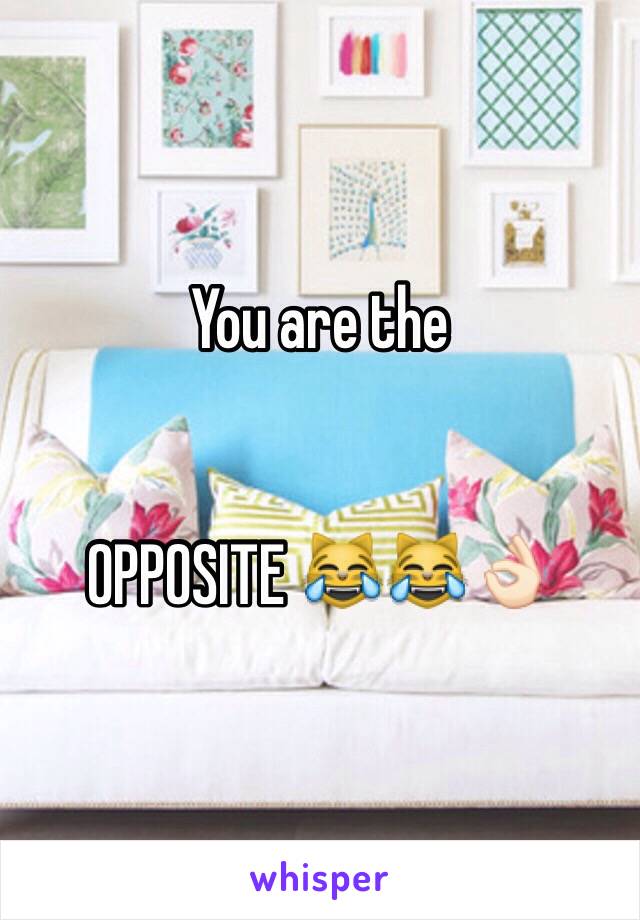 You are the 


OPPOSITE 😹😹👌🏻