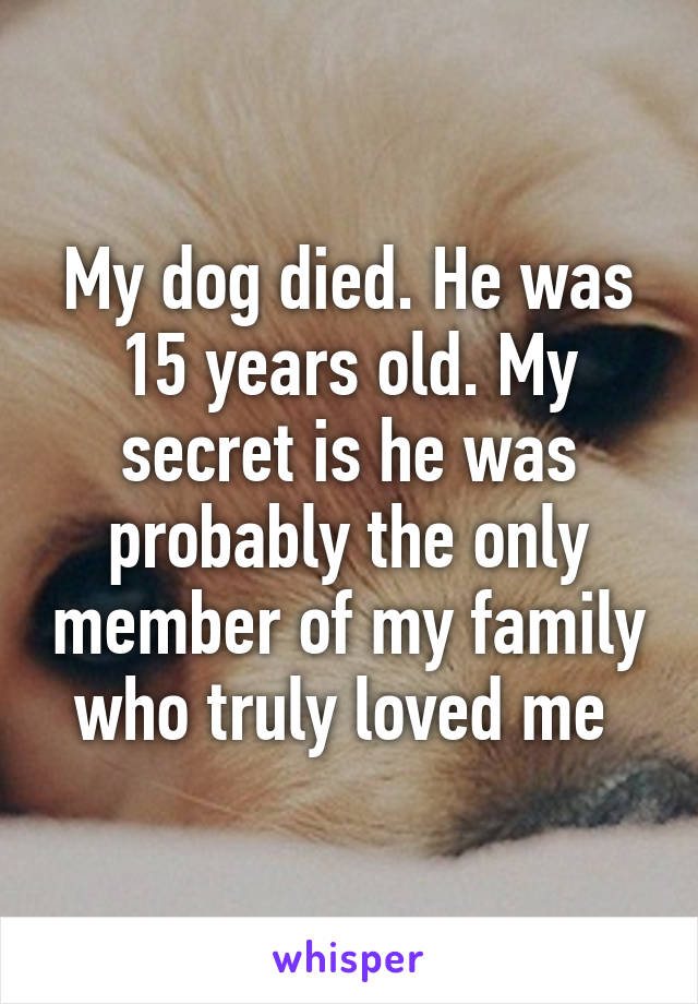 My dog died. He was 15 years old. My secret is he was probably the only member of my family who truly loved me 