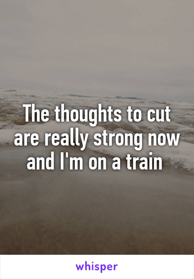 The thoughts to cut are really strong now and I'm on a train 