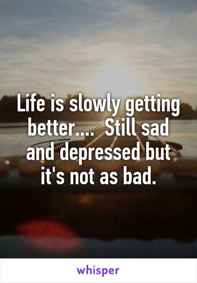 Life is slowly getting better....  Still sad and depressed but it's not as bad.