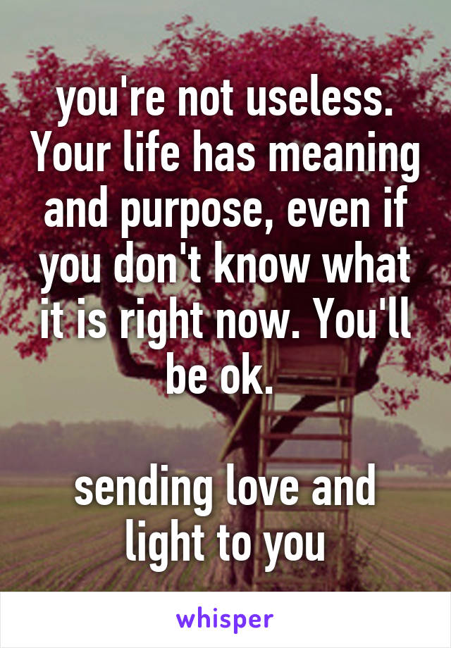 you're not useless. Your life has meaning and purpose, even if you don't know what it is right now. You'll be ok. 

sending love and light to you