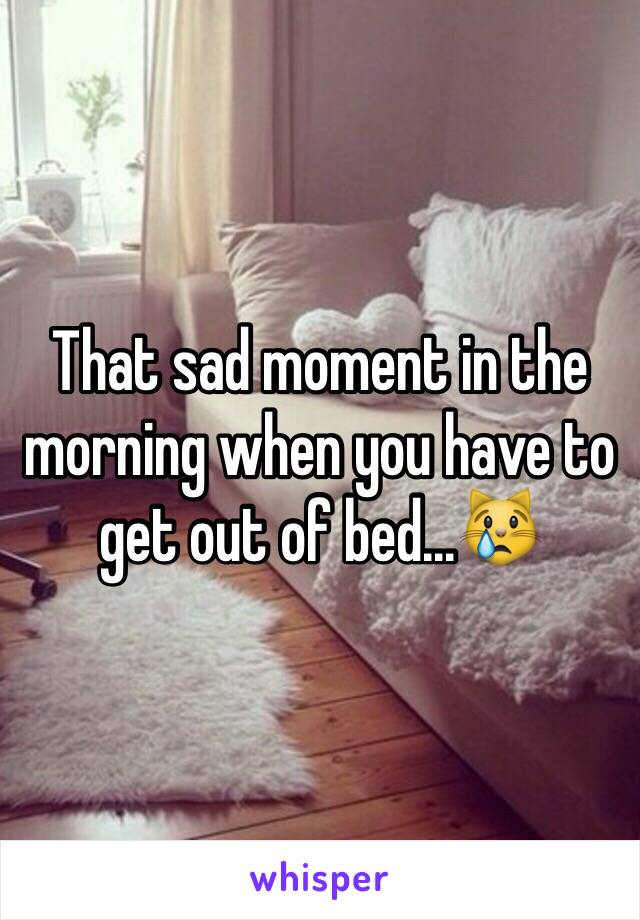 That sad moment in the morning when you have to get out of bed...😿