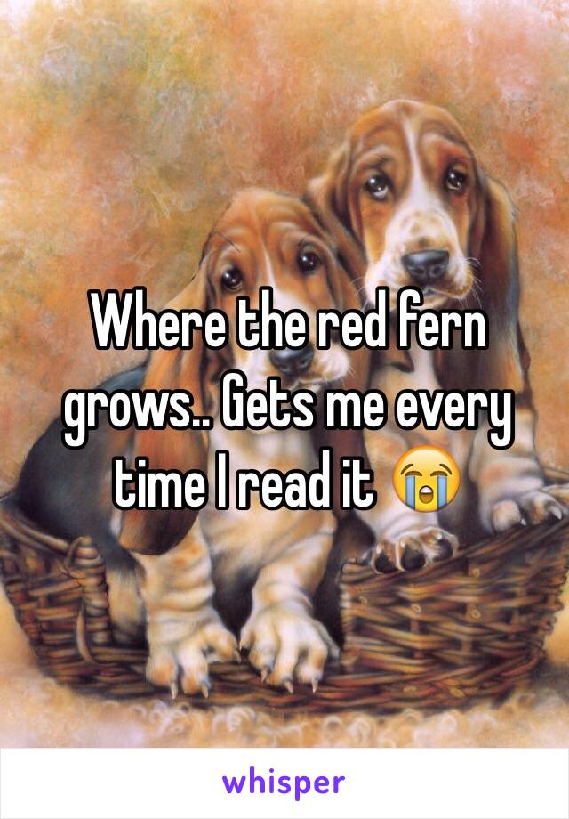 Where the red fern grows.. Gets me every time I read it 😭 