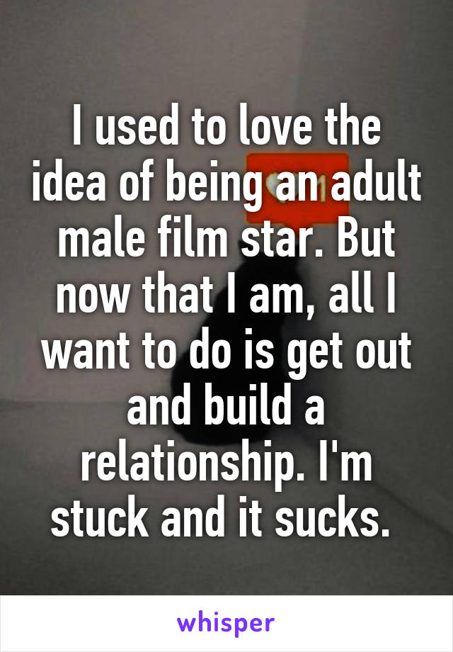 I used to love the idea of being an adult male film star. But now that I am, all I want to do is get out and build a relationship. I'm stuck and it sucks. 