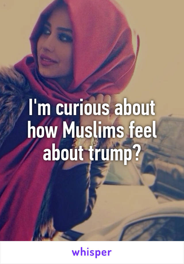 I'm curious about how Muslims feel about trump?