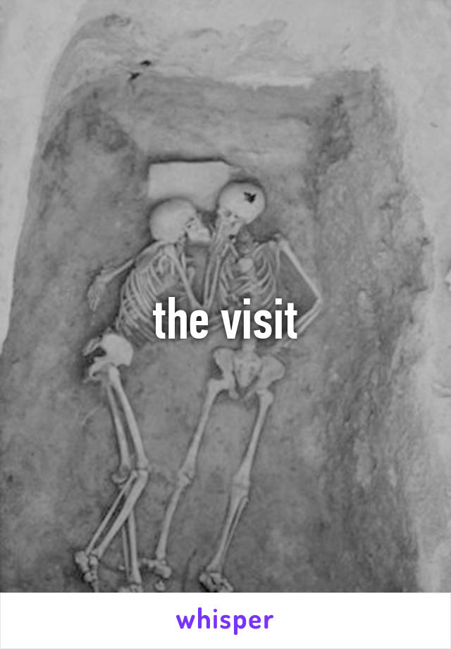 the visit