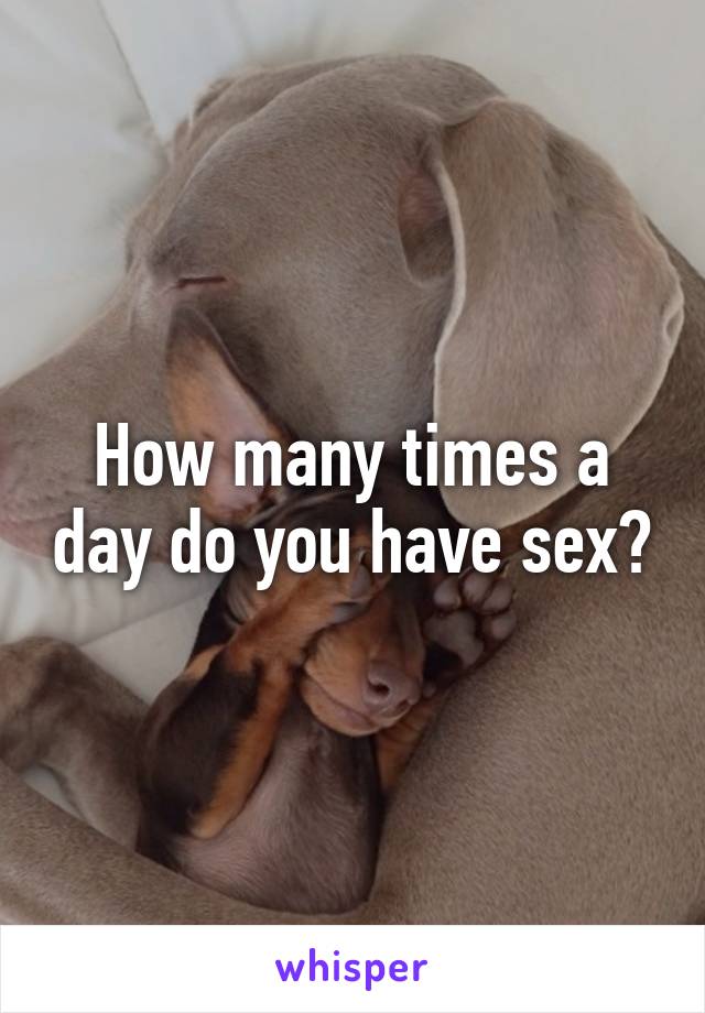 How many times a day do you have sex?