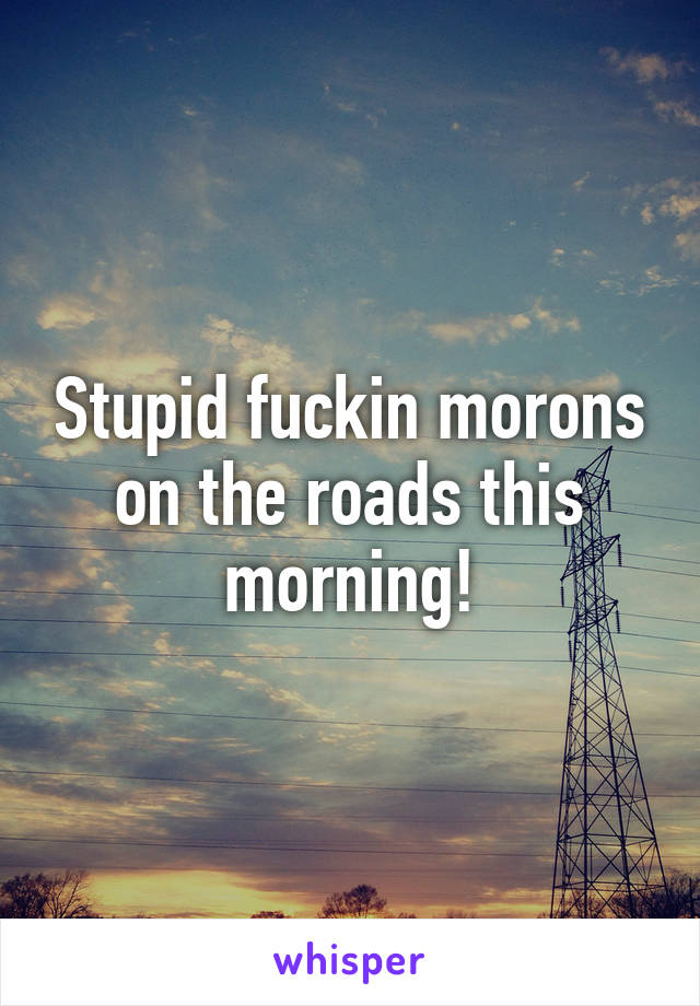 Stupid fuckin morons on the roads this morning!