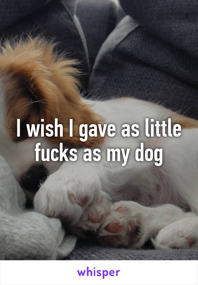 I wish I gave as little fucks as my dog