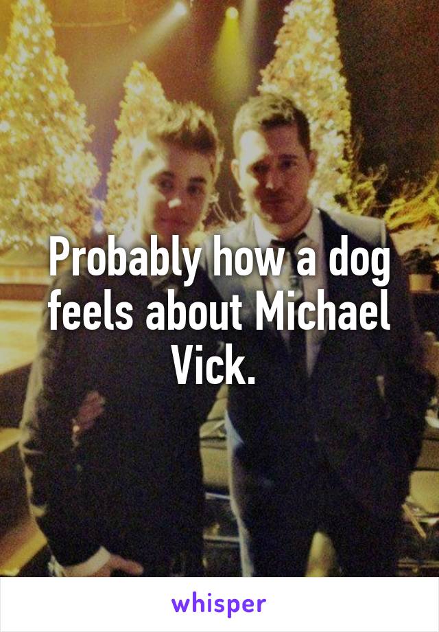 Probably how a dog feels about Michael Vick. 