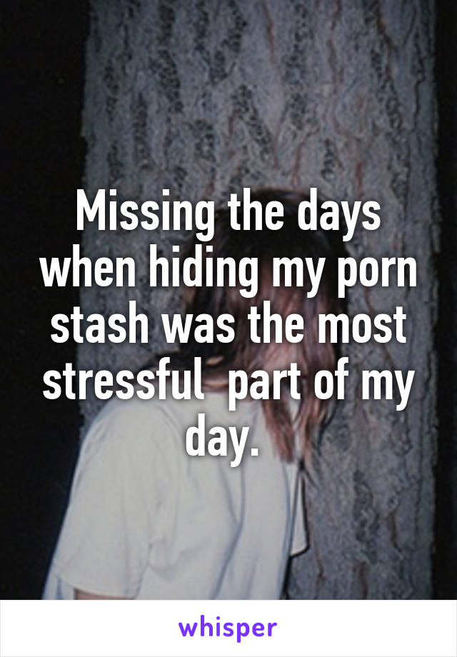 Missing the days when hiding my porn stash was the most stressful  part of my day. 