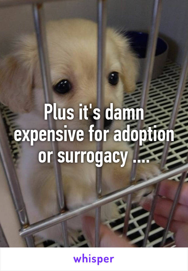 Plus it's damn expensive for adoption or surrogacy ....