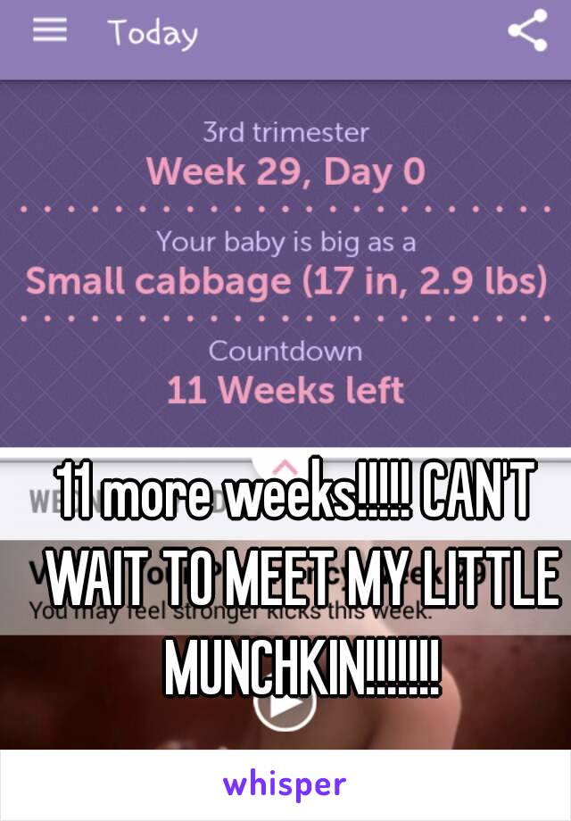 11 more weeks!!!!! CAN'T WAIT TO MEET MY LITTLE MUNCHKIN!!!!!!!