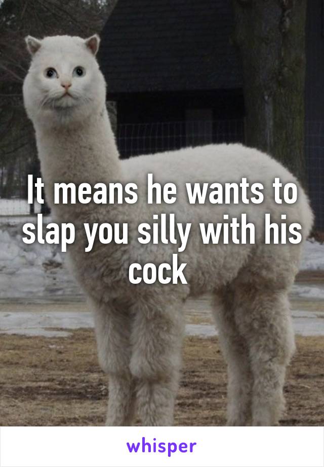 It means he wants to slap you silly with his cock 