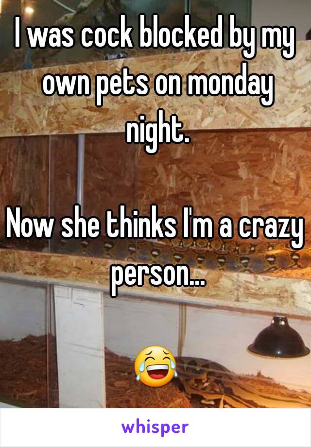 I was cock blocked by my own pets on monday night.

Now she thinks I'm a crazy person...

😂 