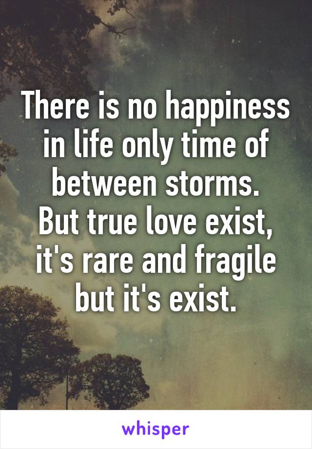 There is no happiness in life only time of between storms.
But true love exist, it's rare and fragile but it's exist.
