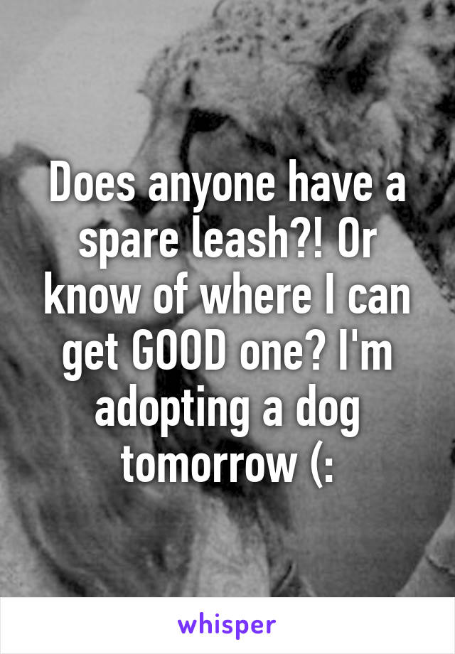 Does anyone have a spare leash?! Or know of where I can get GOOD one? I'm adopting a dog tomorrow (: