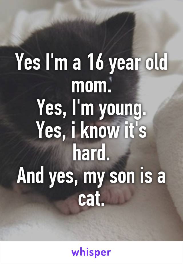 Yes I'm a 16 year old mom.
Yes, I'm young.
Yes, i know it's hard.
And yes, my son is a cat.