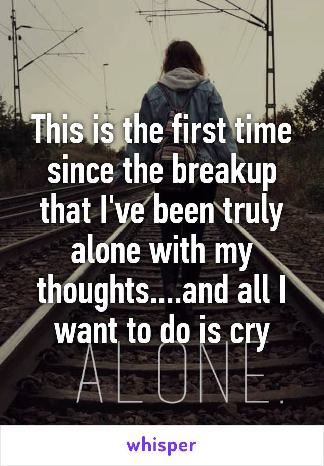 This is the first time since the breakup that I've been truly alone with my thoughts....and all I want to do is cry