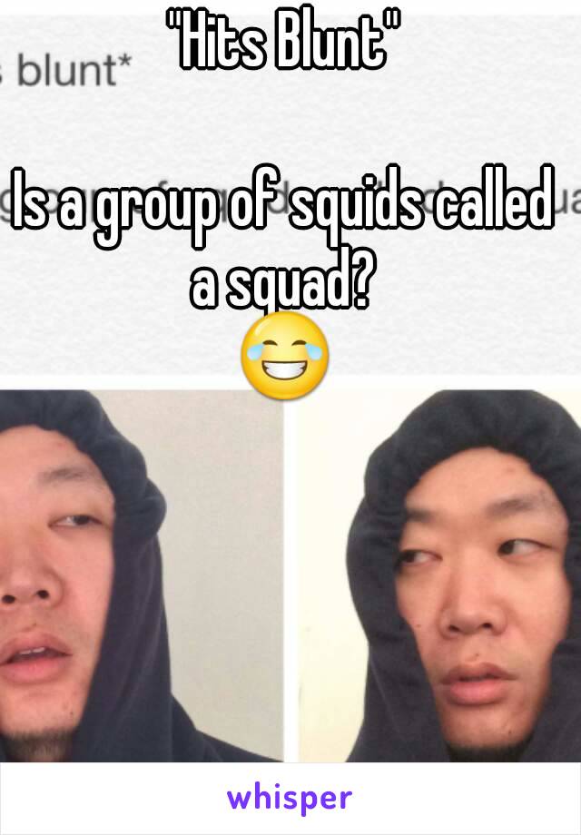 "Hits Blunt"

Is a group of squids called a squad? 
😂