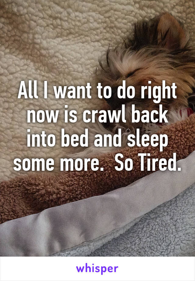 All I want to do right now is crawl back into bed and sleep some more.  So Tired. 