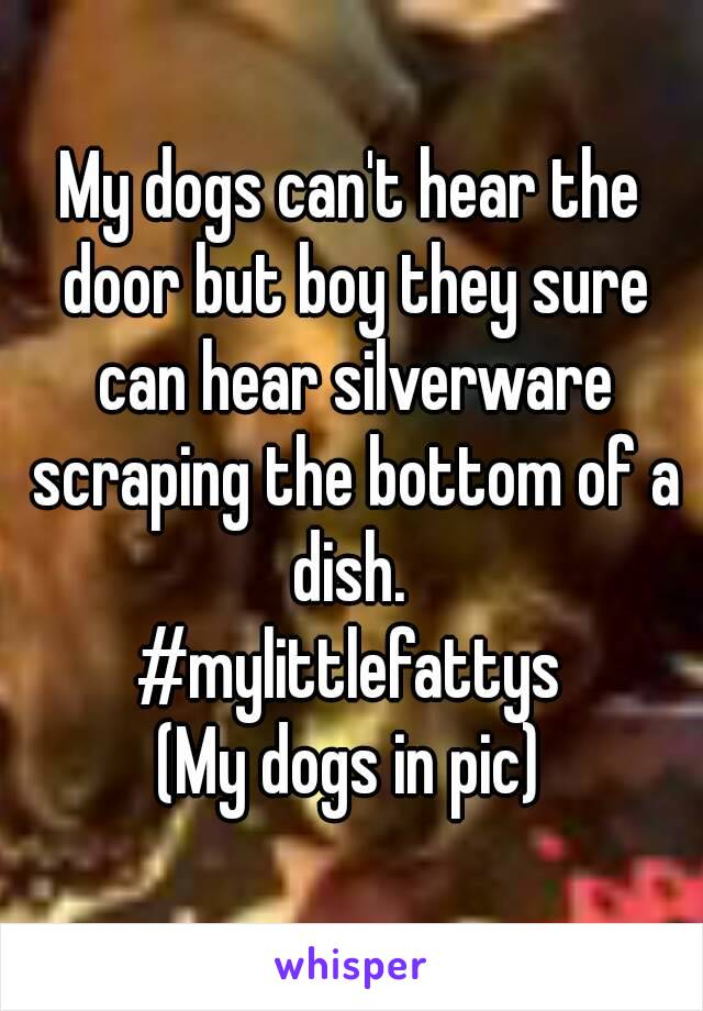 My dogs can't hear the door but boy they sure can hear silverware scraping the bottom of a dish. 
#mylittlefattys
(My dogs in pic)