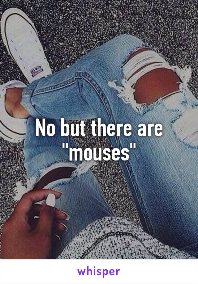 No but there are "mouses"