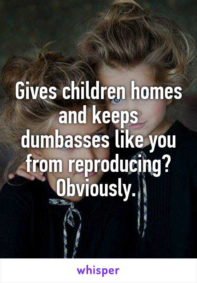 Gives children homes and keeps dumbasses like you from reproducing? Obviously. 