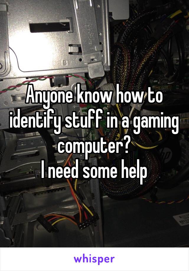 Anyone know how to identify stuff in a gaming computer?
I need some help 