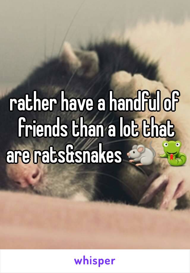 rather have a handful of friends than a lot that are rats&snakes 🐀🐍