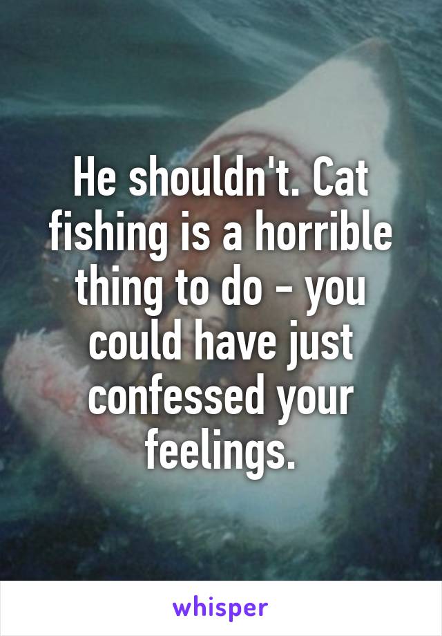 He shouldn't. Cat fishing is a horrible thing to do - you could have just confessed your feelings.