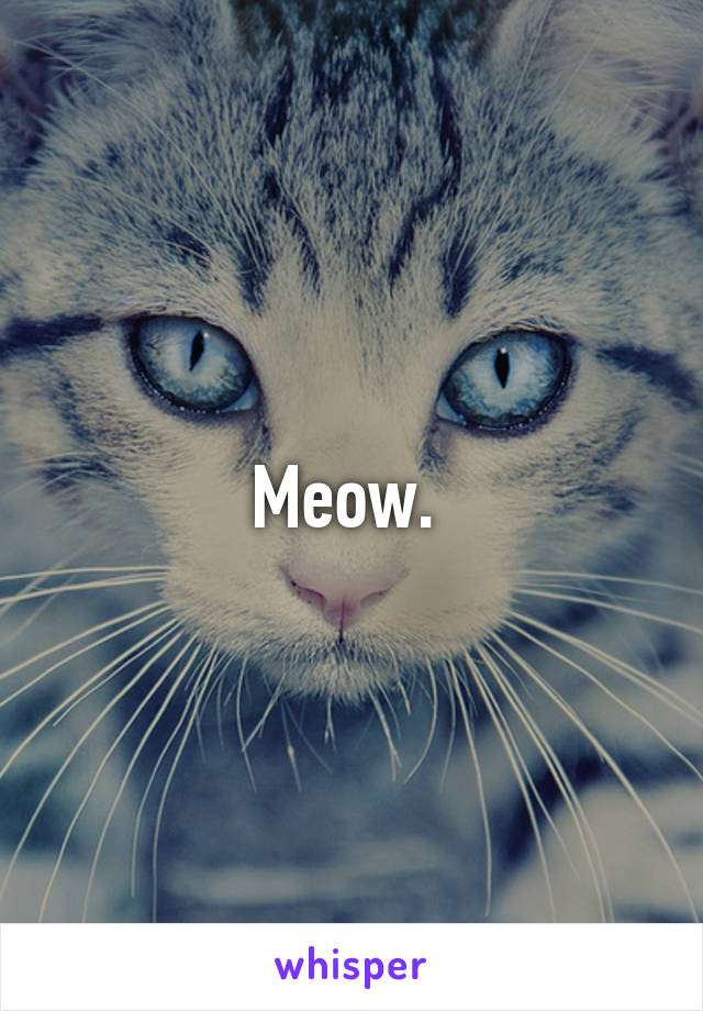 Meow. 