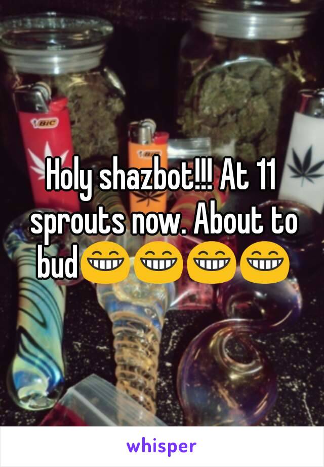 Holy shazbot!!! At 11 sprouts now. About to bud😁😁😁😁