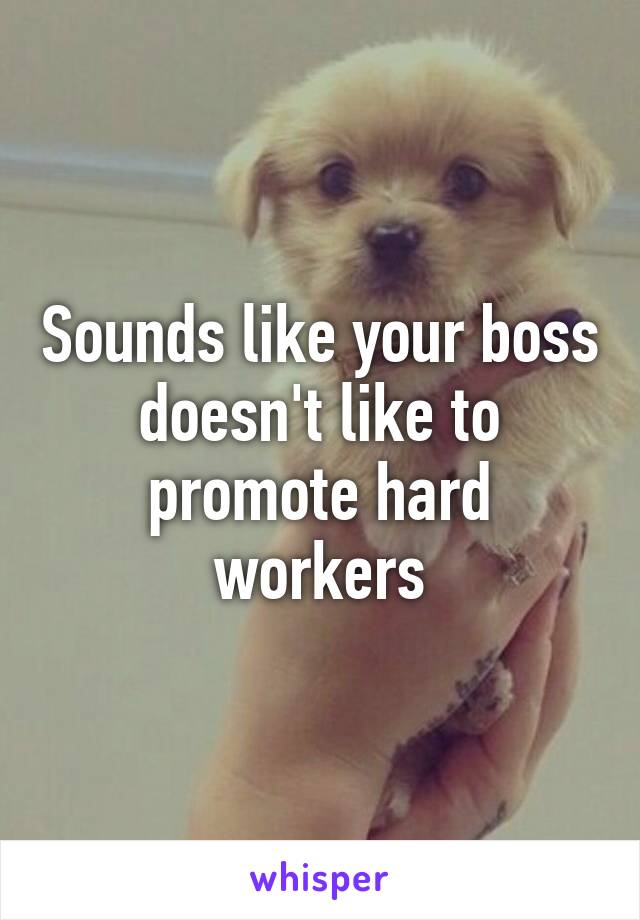 Sounds like your boss doesn't like to promote hard workers