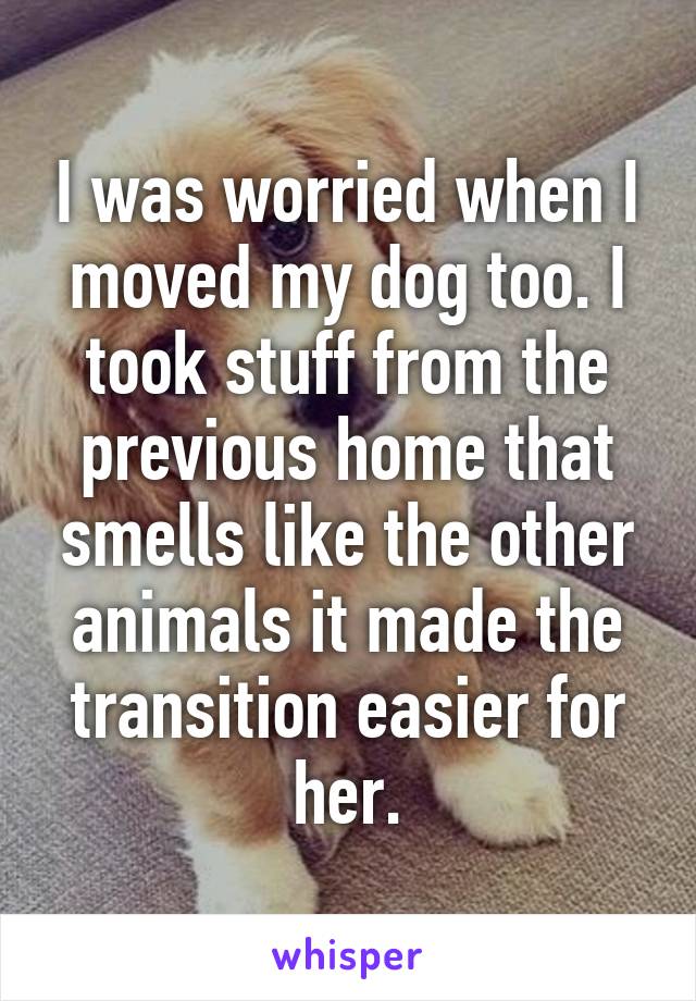 I was worried when I moved my dog too. I took stuff from the previous home that smells like the other animals it made the transition easier for her.