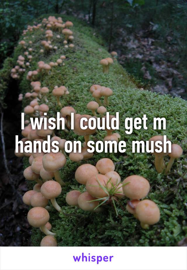 I wish I could get m hands on some mush