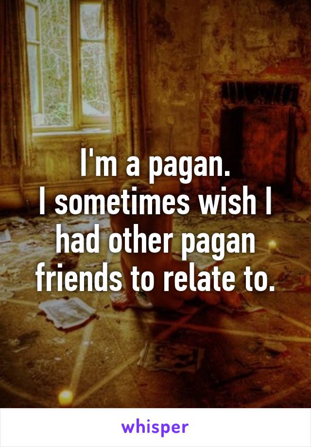 I'm a pagan.
I sometimes wish I had other pagan friends to relate to.