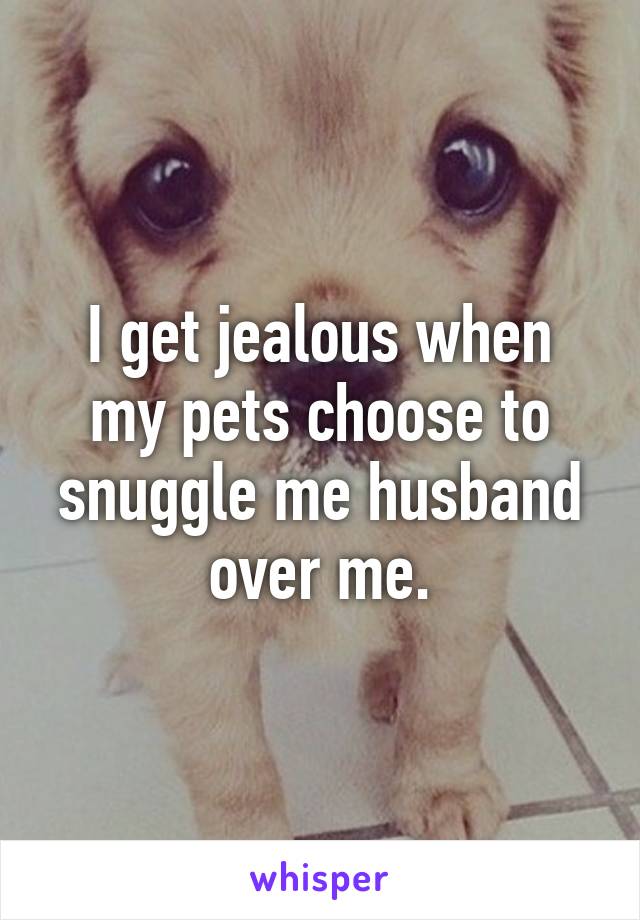 I get jealous when my pets choose to snuggle me husband over me.