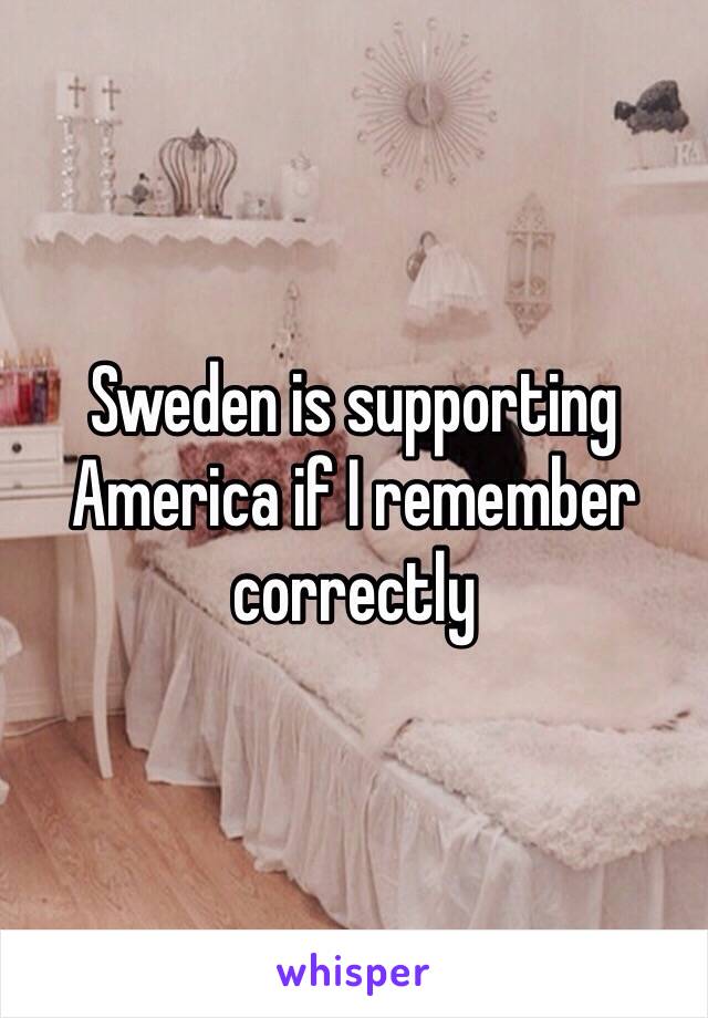 Sweden is supporting America if I remember correctly 