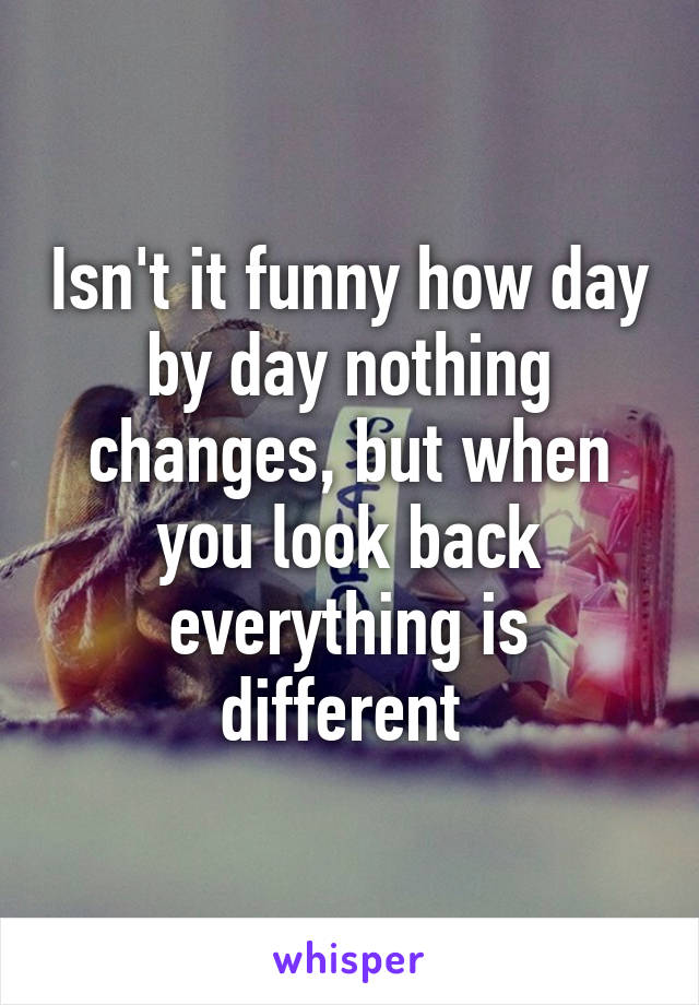 Isn't it funny how day by day nothing changes, but when you look back everything is different 