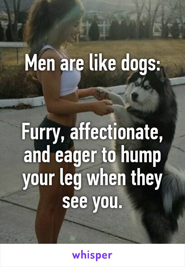 Men are like dogs:


Furry, affectionate, and eager to hump your leg when they see you.