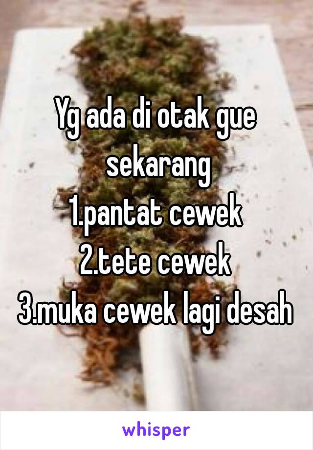 Yg ada di otak gue sekarang
1.pantat cewek
2.tete cewek
3.muka cewek lagi desah