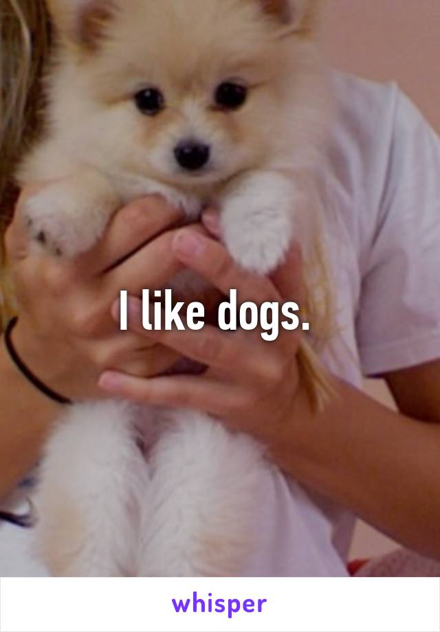 I like dogs. 