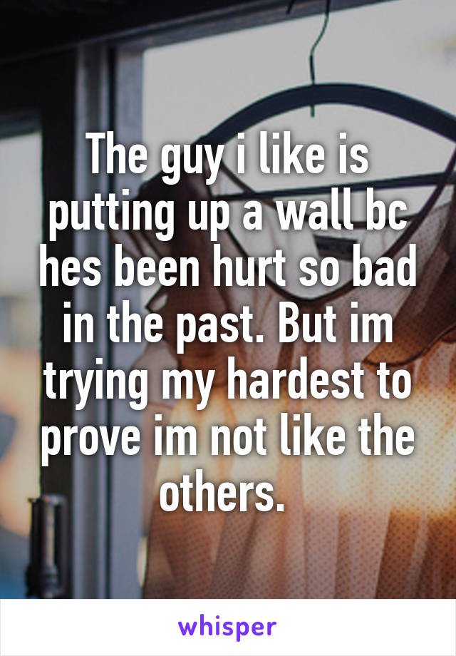 The guy i like is putting up a wall bc hes been hurt so bad in the past. But im trying my hardest to prove im not like the others. 