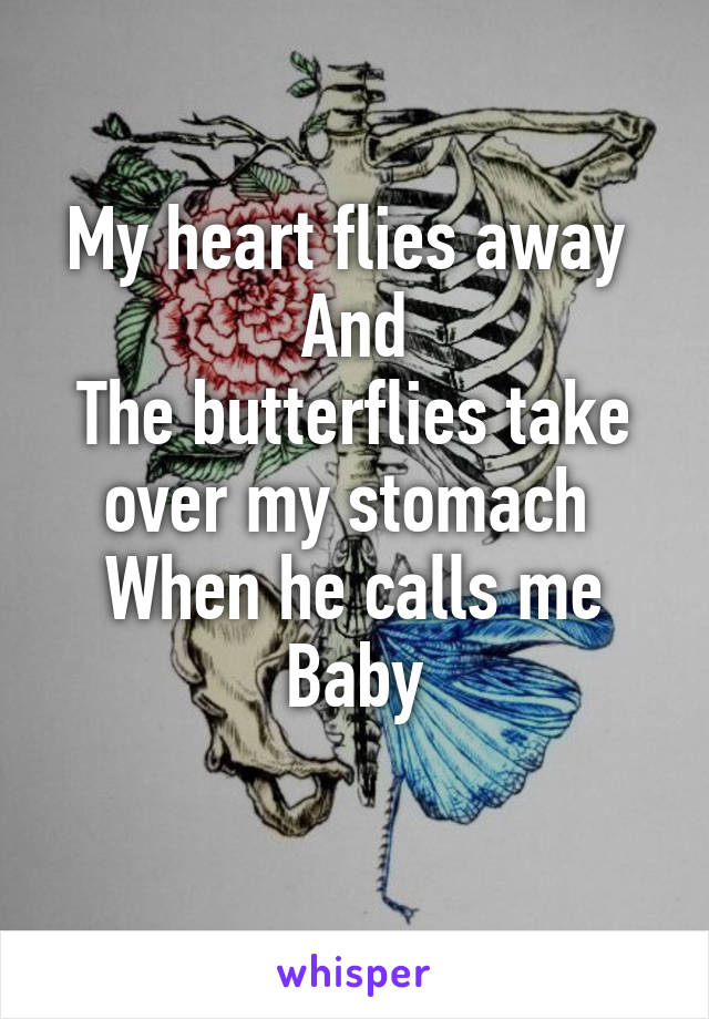 My heart flies away 
And
The butterflies take over my stomach 
When he calls me Baby
