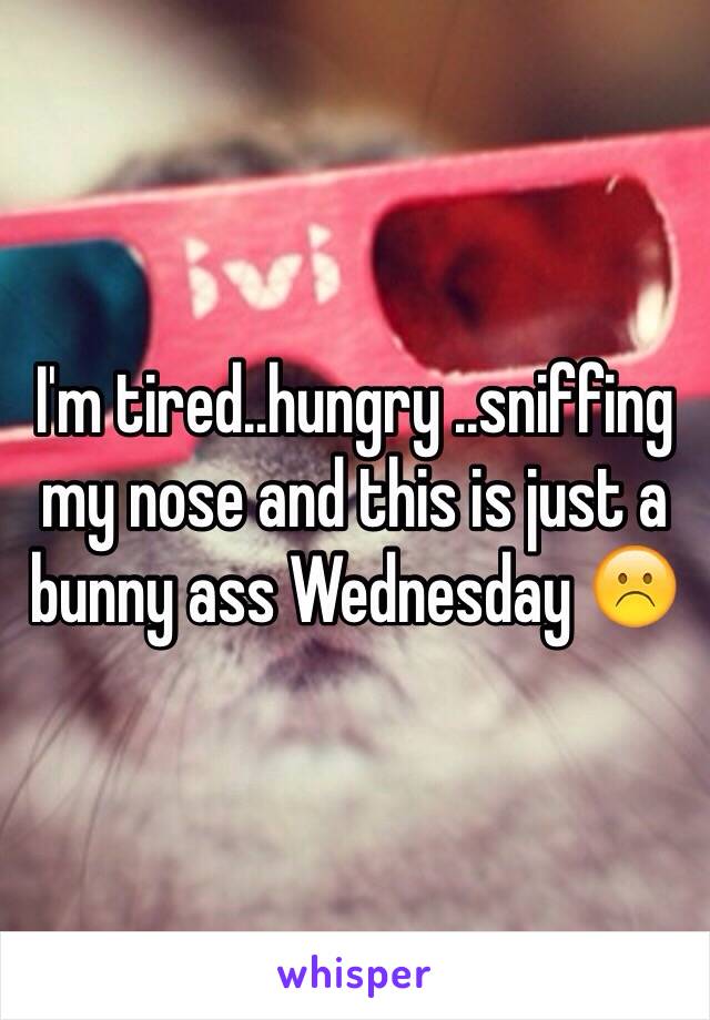 I'm tired..hungry ..sniffing my nose and this is just a bunny ass Wednesday ☹️