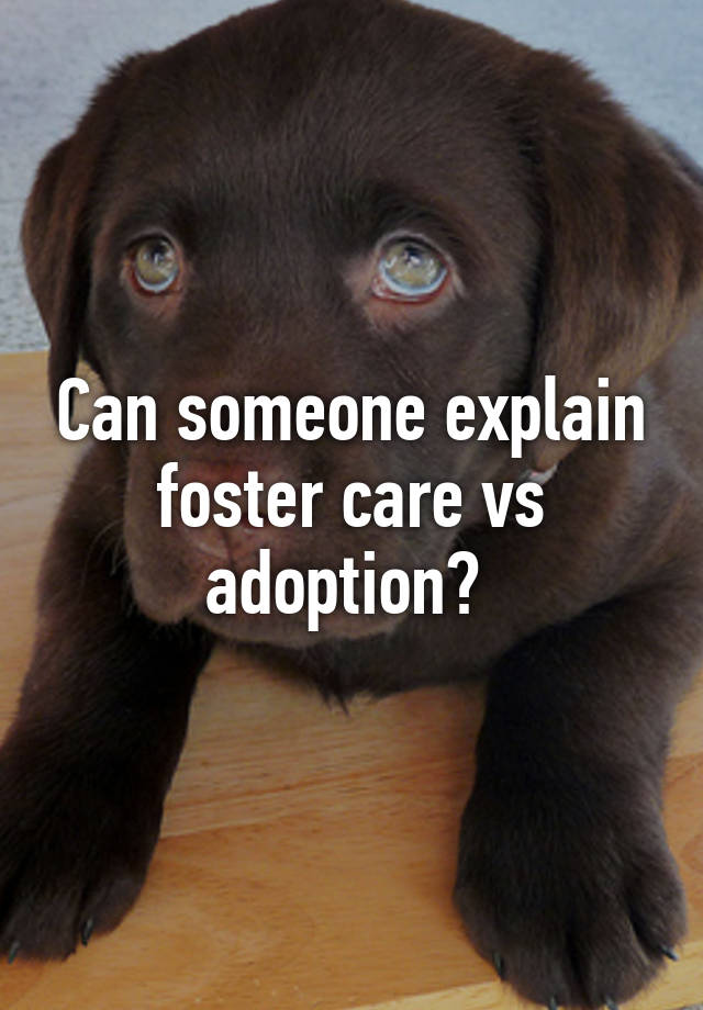 can-someone-explain-foster-care-vs-adoption