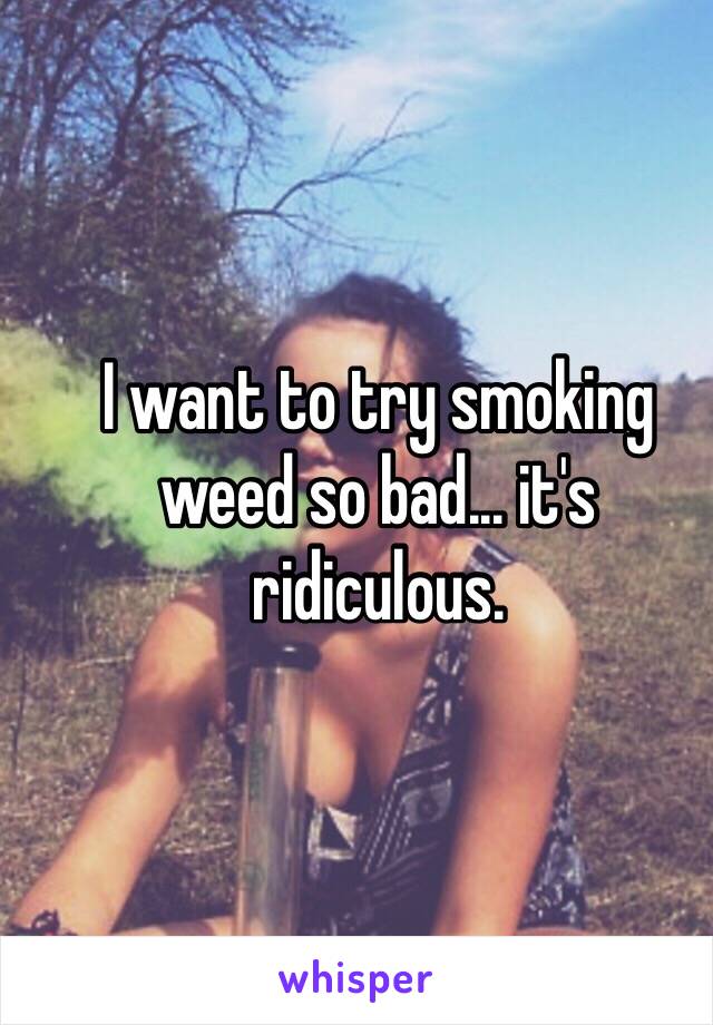 I want to try smoking weed so bad... it's ridiculous.